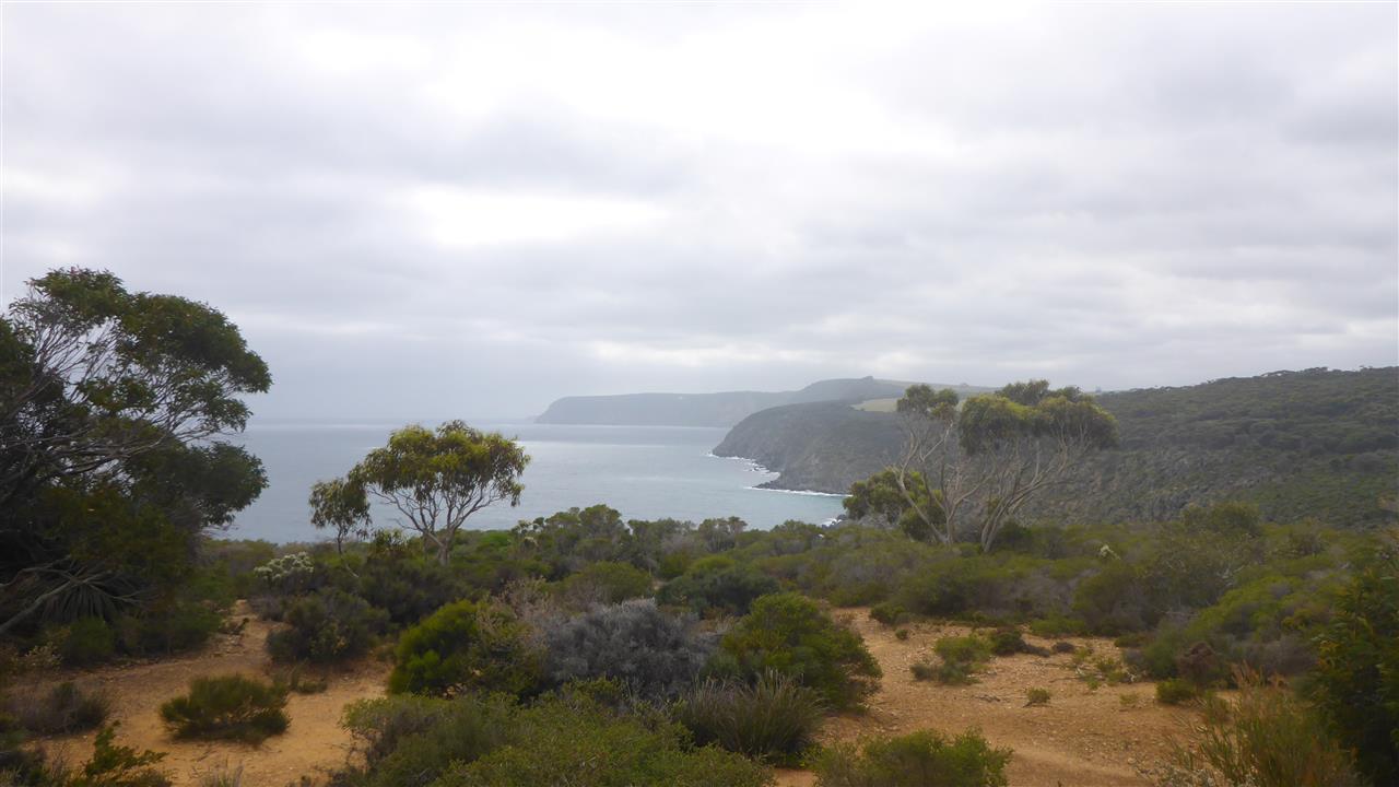 Holiday Australia 15 Blog